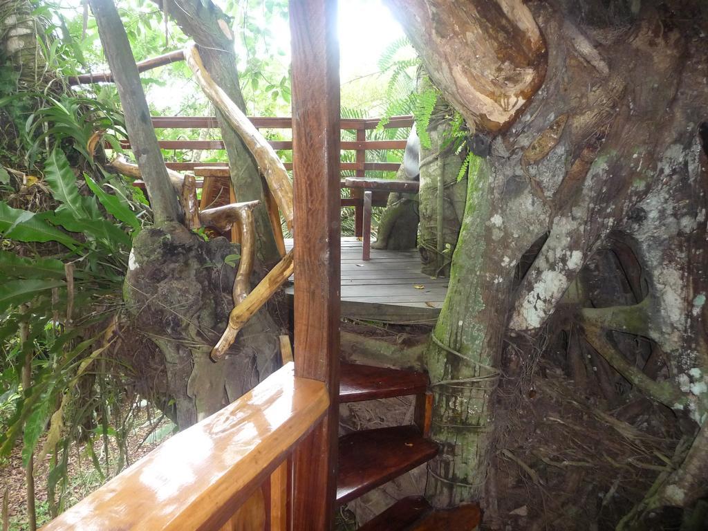 Topos Tree House Cahuita Eksteriør billede