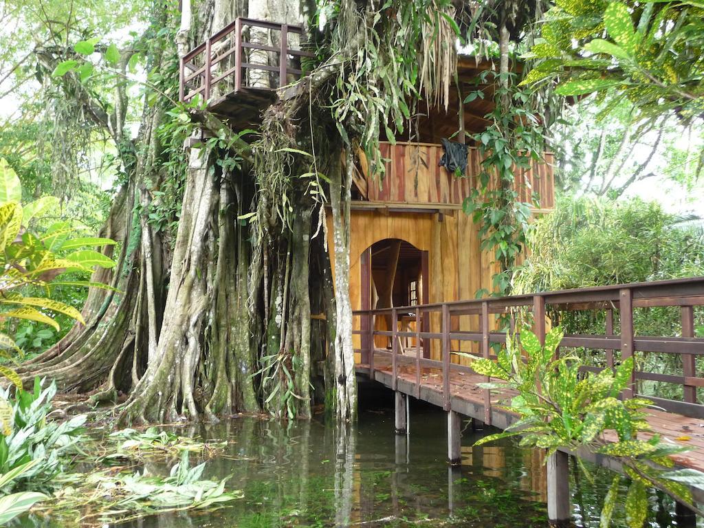 Topos Tree House Cahuita Eksteriør billede