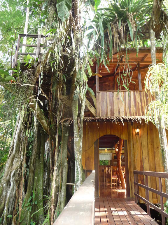 Topos Tree House Cahuita Værelse billede