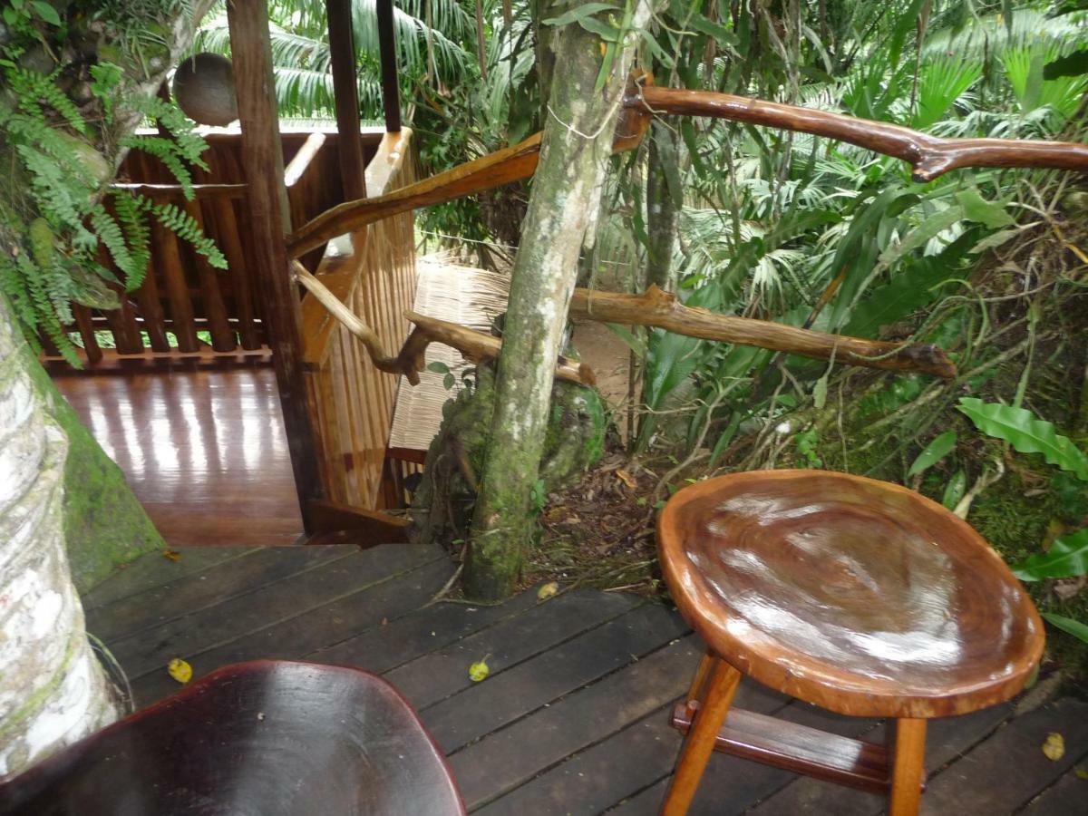 Topos Tree House Cahuita Eksteriør billede